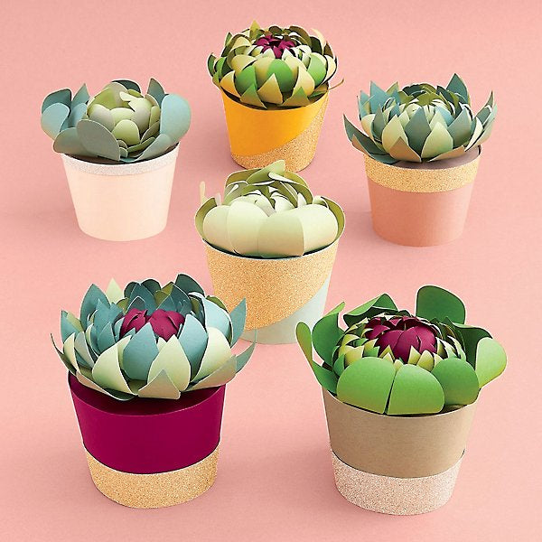 PaperSource Potted Succulent Kit
